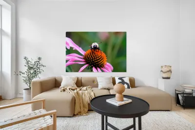 The Golden Heart of the Purple Coneflower Reproduction
