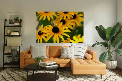 Bee A Black-Eyed Susan Secret Guest Reproduction