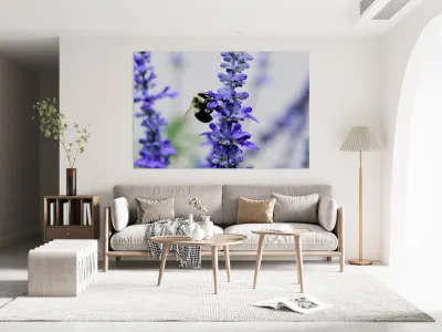 Bee Salivating the Blue Salvia Reproduction