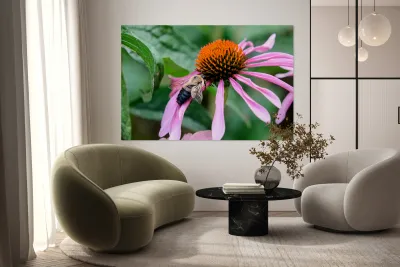 Stillness Amid the Spires of Echinacea Reproduction