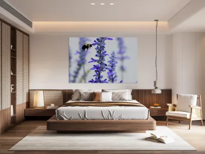 Salvia Bloom & the Pollinator Reproduction