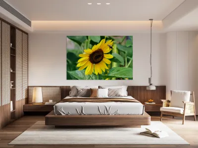 Flying into the Sun..Flower – The Dance of Daylight Reproduction