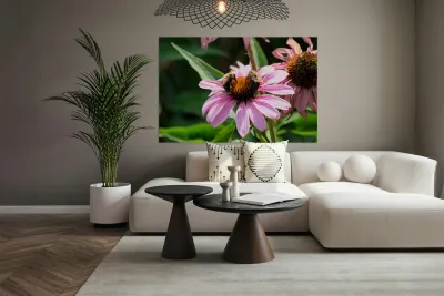 The Harmony of Pollination: Twin Bees on a Purple Coneflower Reproduction