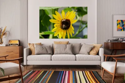 The Sunflower Keeps Time for Two Reproduction