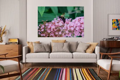 Just Bee Still In Fields of Pink Reproduction