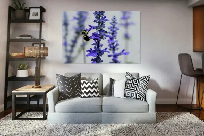 Lavender Towers and the Bee Reproduction