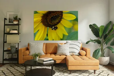 Bee Under the Sunflower:  The Architect of Harvest Reproduction