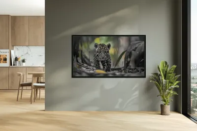 Innocent Innocent Prowler - Wild Feline Portrait Art Prints Reproduction