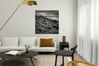 Cula Bay Reproduction