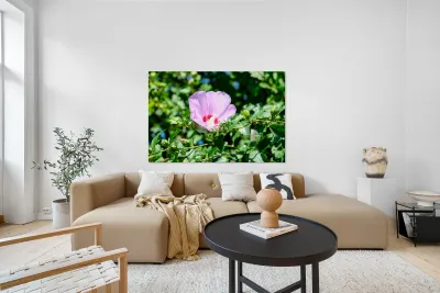 A Hibiscus Glimpse into Nature’s Heartbeat Reproduction