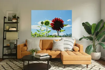 Bloom of the Dark Sun Flower Reproduction