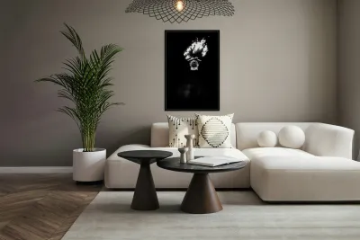 Illuminated Obscurity Reproduction