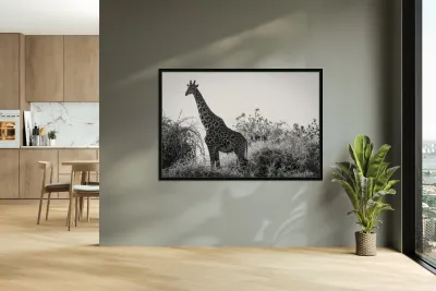 Posing Giraffe Reproduction