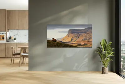 Highland Coo with a View Reproduction