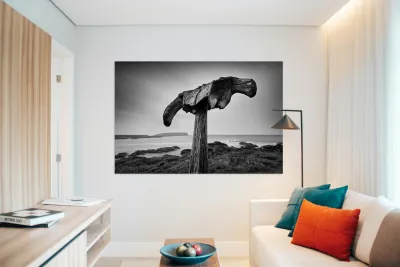 Whalebone Reproduction