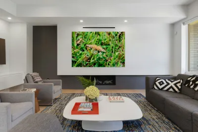 Buttery Butterfly as Omen of Calm Reproduction