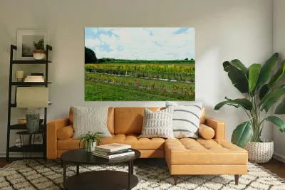 The Silent Pulse of Cultivation Reproduction