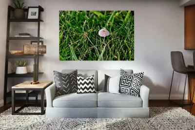 The Littlest Umbrella Reproduction