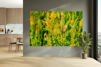 Yellow Wool Flower: Fields of Fire and Flight Reproduction