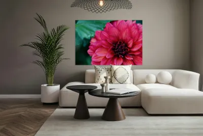 Dark Pink Dahlia Reproduction