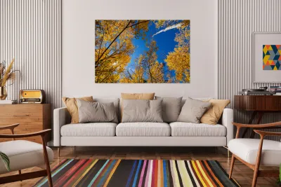 Blue Sky Autumn Bliss Reproduction