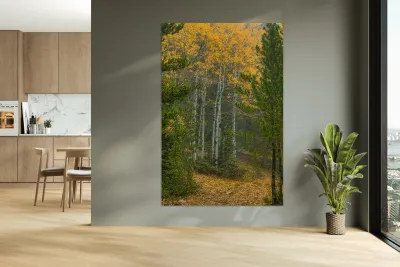 Apen Tree Leaves Fallen Reproduction