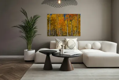 Sunny Colorful Aspen Tree Mix Reproduction