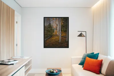 Eternal Transition of the Forest Reproduction