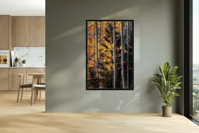 Warmth Amidst the Shadows Reproduction