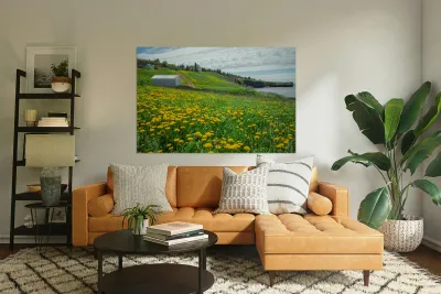 Bonaventure Dandelion Carpet Reproduction