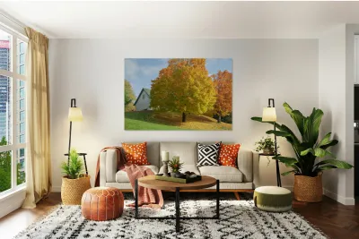 Autumn Classic Maples Reproduction