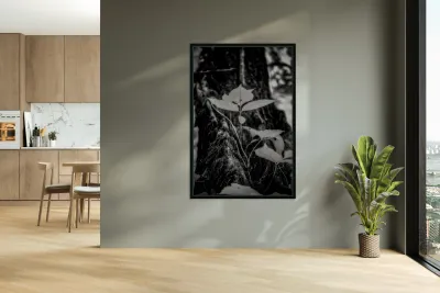 Natures Delicate Balance Reproduction