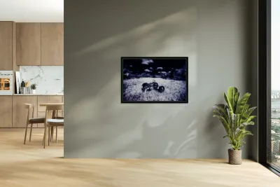 Rustic Relic - Blue Trike Reproduction