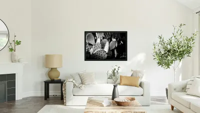 extures of the Desert Reproduction