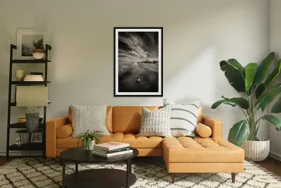 White Swan Reproduction