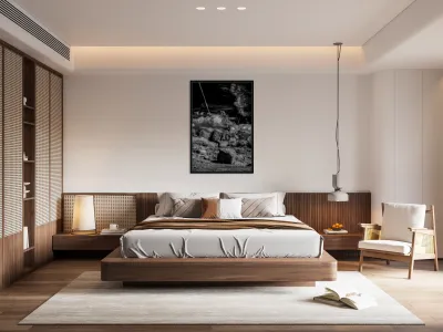 Boulder and Branch Under Silent Clouds Reproduction