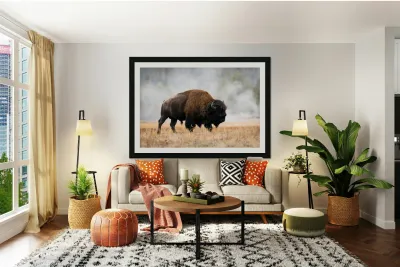 American Buffalo Reproduction