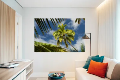 Palm Tree Skies Reproduction