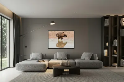 Juvenile Bald Eagle Reflection Reproduction