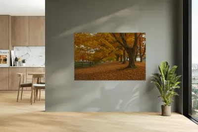 Autumn Farm Maple Pathway  Reproduction