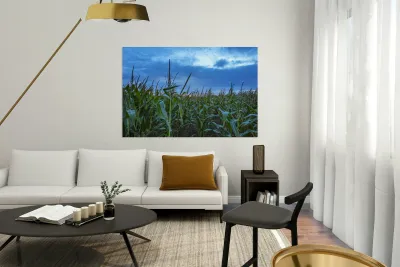 Cornfield at Sunset Reproduction