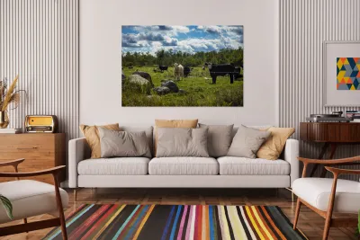 Cattle in Pasture Reproduction