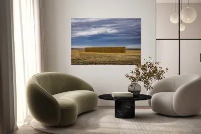 Hay Wall Reproduction