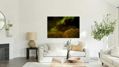 Northern Light Above the Canopy Reproduction