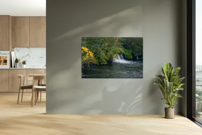 Small  Falls Reproduction