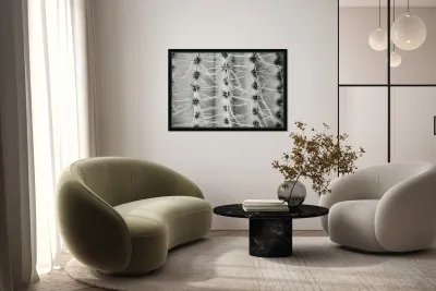 Symmetry in Spine Reproduction