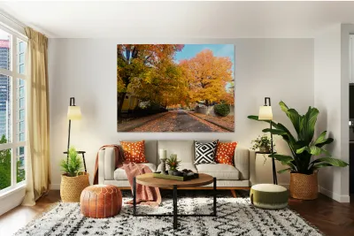 Fall Over the Road: Whispers of Fall Reproduction