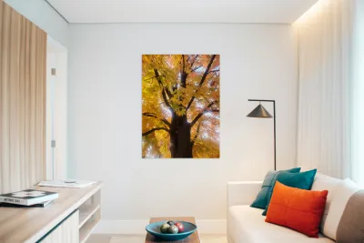 Golden Hour Tree Time 1A  Reproduction