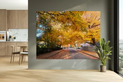 Fall Over the Road Reproduction