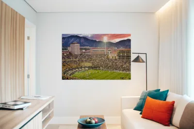 University of Colorado Boulder Go Buffs Reproduction